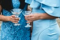 Girls in blue dresses with glasses of alcohol in their hands at the party Royalty Free Stock Photo