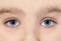 Blue eyes of beautiful young child girl macro photo Royalty Free Stock Photo