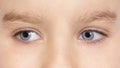 Girls blue eyes close up. Blue eyes of beautiful young child girl macro photo Royalty Free Stock Photo