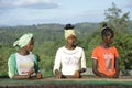 Girls coffee harvesting