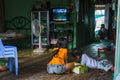 Girls color inside their house in a Cambodian fishing village