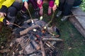 The girls cook marshmallows on the fire. A company of tourists around the campfire preparing marshmallows. Campfire Royalty Free Stock Photo