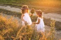 Girls on a country road with wreaths of flowers on their heads collecting herbarium. Royalty Free Stock Photo