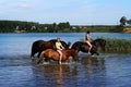 Girls and horses on the lake.