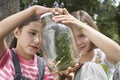 Girls Examining Stick Insects In Jar