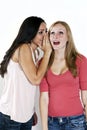 Girls gossip Royalty Free Stock Photo