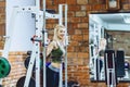 girls in gym workout Royalty Free Stock Photo