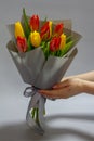 Girls hands hold Still life Bouquet of red and yellow unblown tulips, selective focus