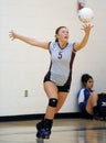 Girls High School Volleyball Royalty Free Stock Photo