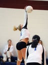 Girls High School Volleyball Royalty Free Stock Photo