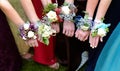 Girls Holding Arms Out with Corsage Flowers for Prom High School Dance Romance Royalty Free Stock Photo