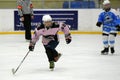 Girls ice hockey match Royalty Free Stock Photo
