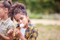 Girls On Outdoor Activity Camping Trip Eating Marshmallows Around Camp Fire Together Royalty Free Stock Photo