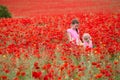 Girls with poppies Royalty Free Stock Photo