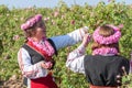 Girls posing during the Rose picking festival in Bulgaria Royalty Free Stock Photo