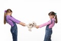 Girls pull teddy bear at each other on white background Royalty Free Stock Photo