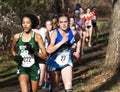 Girls racing a 5K in the woods fighting for position