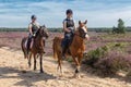 Girls riding horse through heath in Dutch National park Veluwe