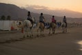 Girls riding horses on the beach at sunset. Horsewomans on the sea Royalty Free Stock Photo