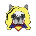 Girls room Kids style Cute French bulldog Female Dog Superhero Woman Comic book character vector in color