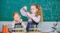 Girls on school chemistry lesson. School laboratory partners. Kids busy with experiment. Chemical analysis and observing