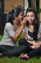 Girls sharing story or gossip Royalty Free Stock Photo