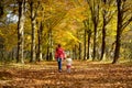 Girls-sisters walk in the forest Park in the autumn. Royalty Free Stock Photo