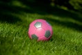 Girls' soccer ball in grass Royalty Free Stock Photo