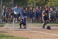 Girls Softball Royalty Free Stock Photo