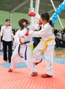 Girls taekwondo wrestlers