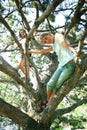 Girls on tree limbs