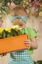 Girls twins of three years care for flowers, Royalty Free Stock Photo