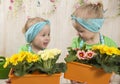 Girls twins of three years care for flowers, Royalty Free Stock Photo