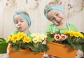 Girls twins of three years care for flowers, Royalty Free Stock Photo