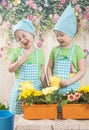 Girls twins of three years care for flowers, Royalty Free Stock Photo