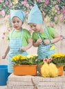 Girls twins of three years care for flowers, Royalty Free Stock Photo