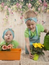 Girls twins of three years care for flowers, Royalty Free Stock Photo