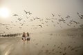 Girls walking, enjoying time together on the beach Royalty Free Stock Photo