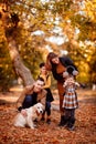 Girls walking Golden Retriever in autumn Park. Royalty Free Stock Photo