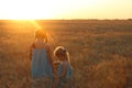 Girls on a wheat field Royalty Free Stock Photo