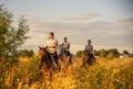 Girls in white shirts are riding horses on a blooming meadow in the rays of the setting sun.