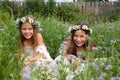 Girls in wreaths of chamomiles in the grass laughing Royalty Free Stock Photo