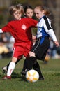 Girls Youth Soccer Players Playing Soccer Royalty Free Stock Photo