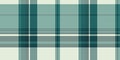 Girly check vector fabric, picnic pattern tartan plaid. Basic texture seamless textile background in white and teal colors Royalty Free Stock Photo