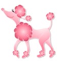 Girly Pink Poodle Walking