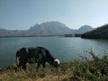 Girnar mountain behind the hasnapur Dam in Junagadh Gujarat