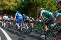 Giro di lombardia group cyclists engaged in the ascent of dossena