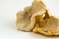 Girolle cantharellus mushrooms on light background Royalty Free Stock Photo