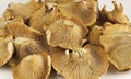 Girolle cantharellus mushrooms on light background Royalty Free Stock Photo