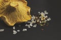 Girolle cantharellus mushrooms, sea salt and spices on black background Royalty Free Stock Photo